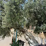 Daire For Rent Piqeras, Sarande