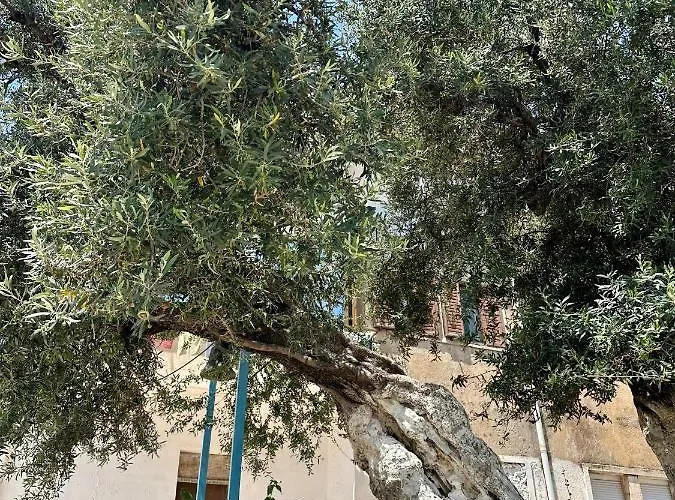 Lägenhet For Rent Piqeras, Sarande