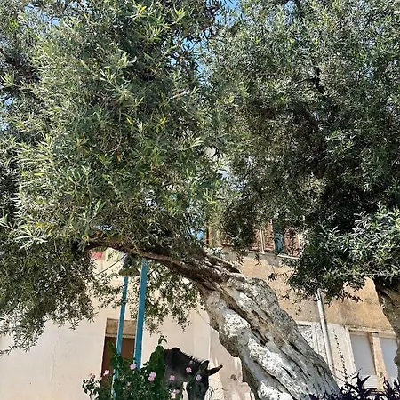 Lägenhet For Rent Piqeras, Sarande